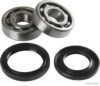 HERTH+BUSS JAKOPARTS J4707001 Wheel Bearing Kit